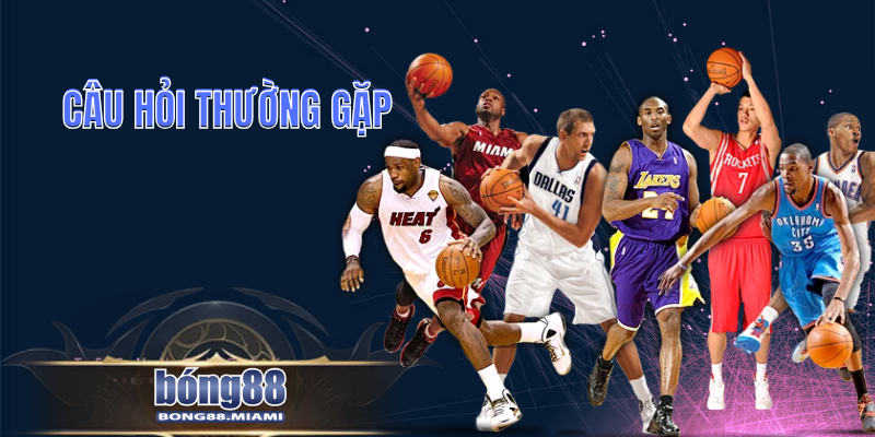 Câu Hỏi Thường Gặp