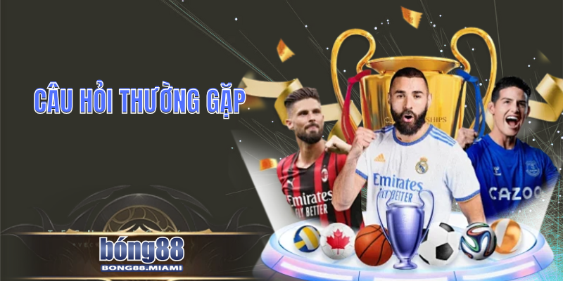 Câu Hỏi Thường Gặp