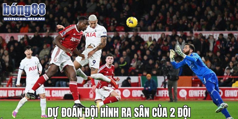 Các nhận định dự đoán đội hình ra sân cực chính xác từ chuyên gia