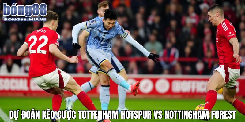 Hàng loạt tỉ lệ kèo cược hấp dẫn khi soi kèo ngoại hạng anh Tottenham hotspur vs Nottingham Forest