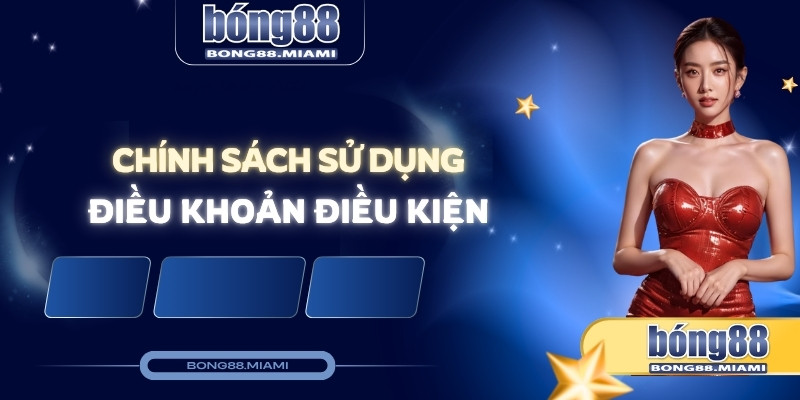 chính sách sử dụng điều khoản điều kiện